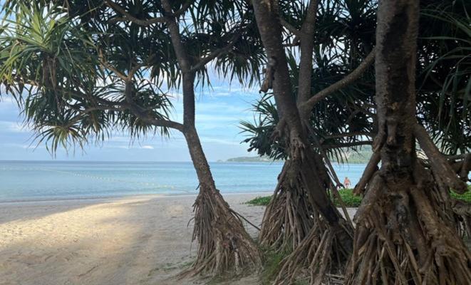 Condos: Beachside Retreat With Smart Tv & Kitchen *