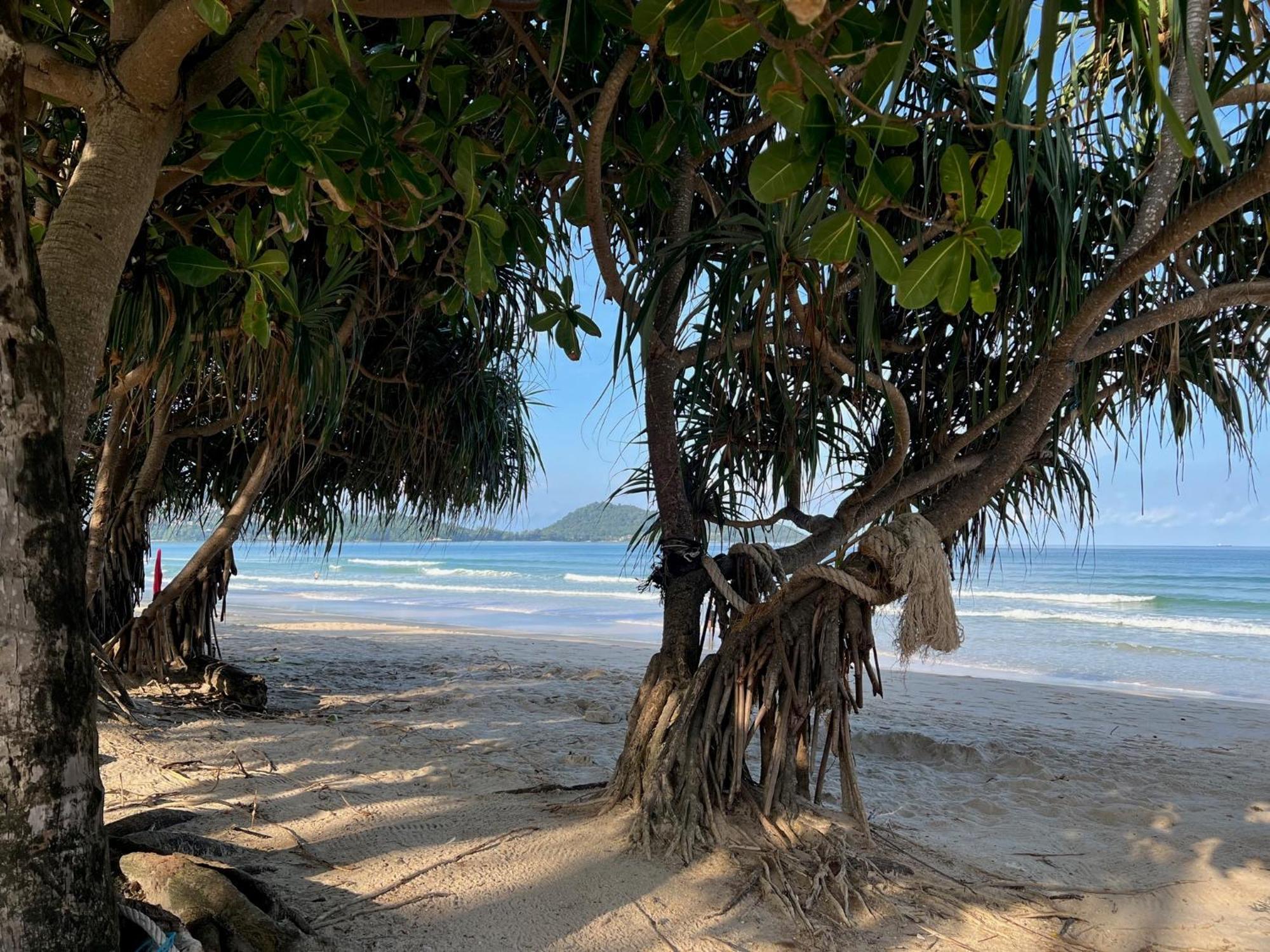 Condos: Beachside Retreat With Smart Tv & Kitchen *